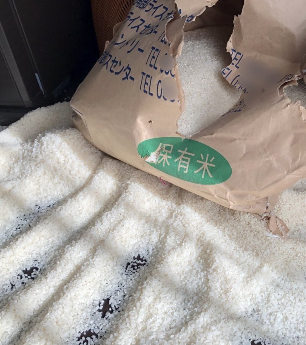 米袋が破れて床に米がこぼれている場面。