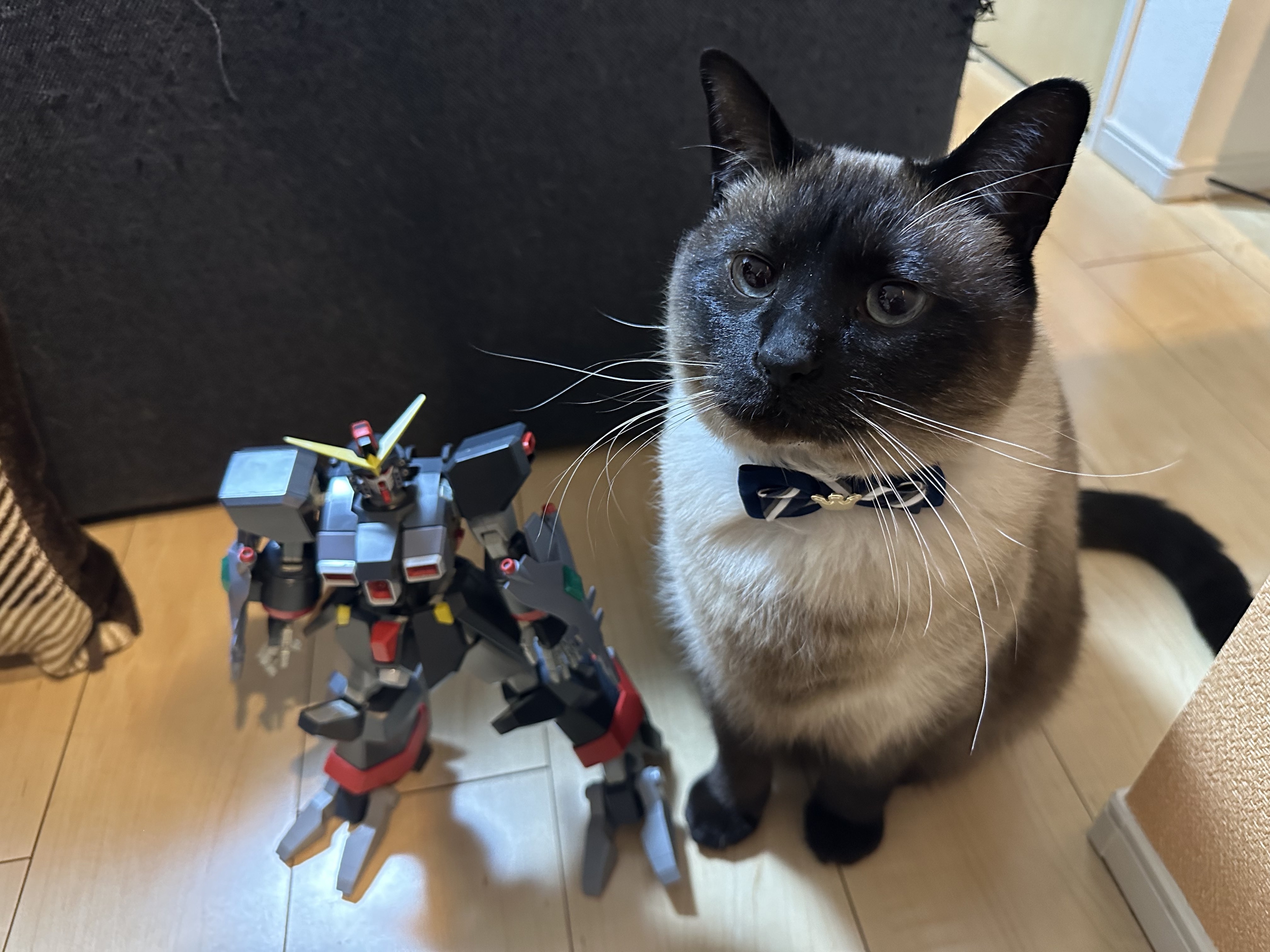 猫とロボットフィギュアが並んで座っており、猫は蝶ネクタイをしています。