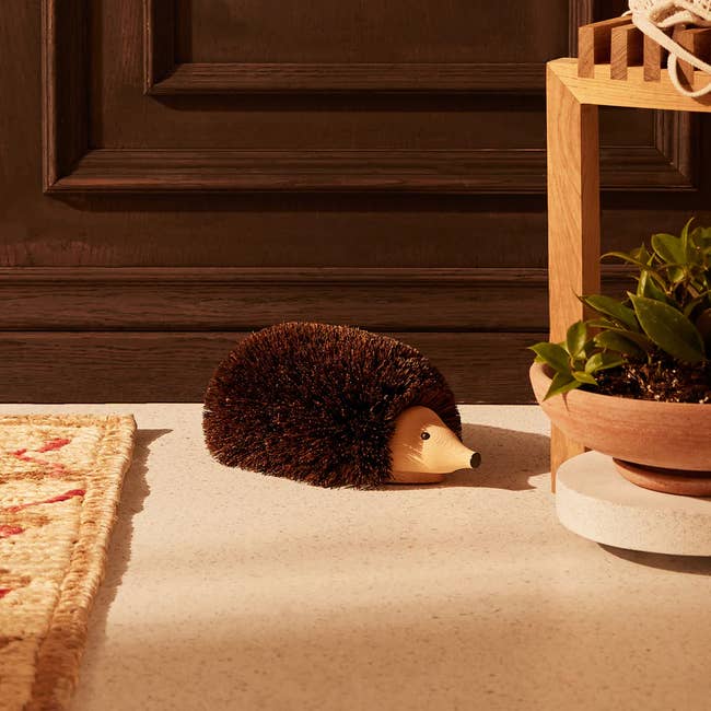 wooden hedgehog with bristles