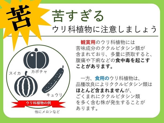苦すぎるウリ科植物に関する啓発画像（東京都足立区役所のXより）