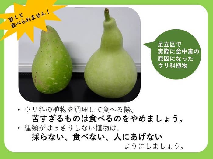 苦すぎるウリ科植物に関する啓発画像（東京都足立区役所のXより）