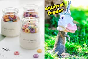 a candle that looks like cereal. Right image of a squirrel wearing a unicorn mask labeled "squirrel feeder."