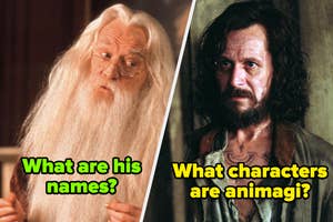 Split image with Dumbledore on the left and Sirius Black on the right. Text: "What are his names?" and "What characters are animagi?"