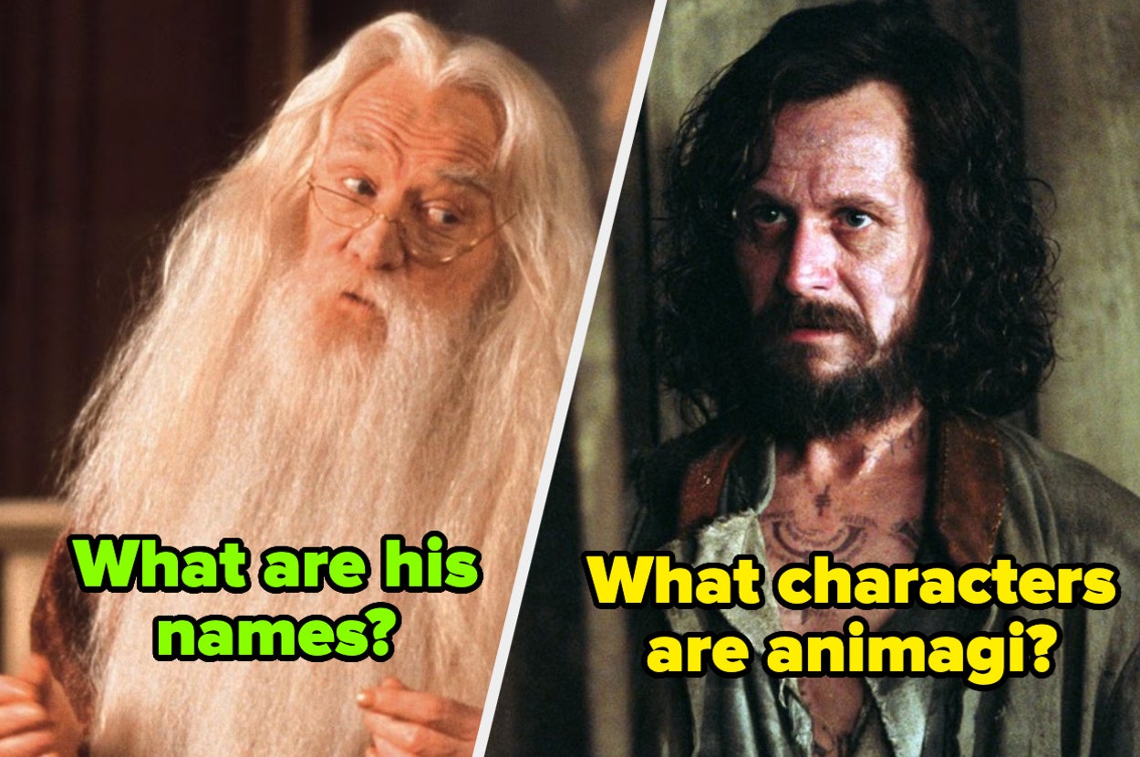 この「出口」を乗り越えられるのは、『ハリー・ポッター』という現実だけだ。