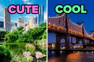 On the left, Central Park labeled cute, and on the right, the Queensboro Bridge at night labeled cool