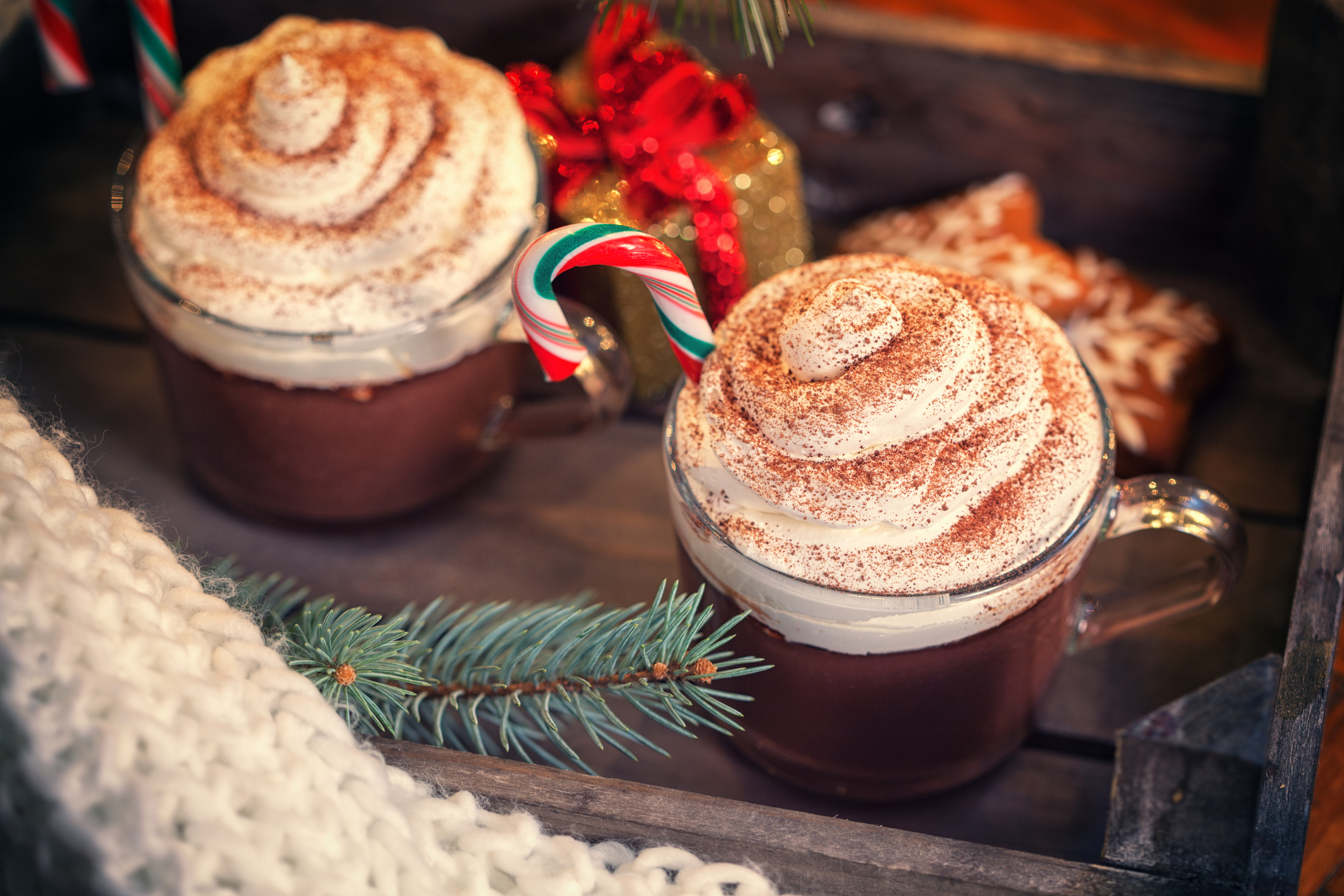 Two hot cocoa mugs topped with whipped cream and candy canes, beside holiday decorations including a red bow and a pine sprig