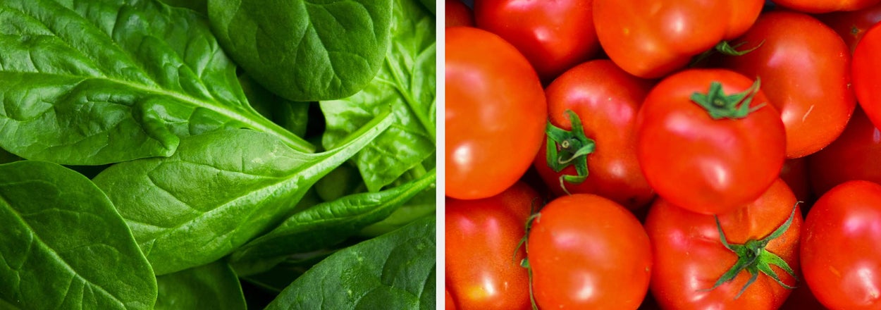 Close-up of fresh spinach leaves on the left and a pile of ripe tomatoes on the right