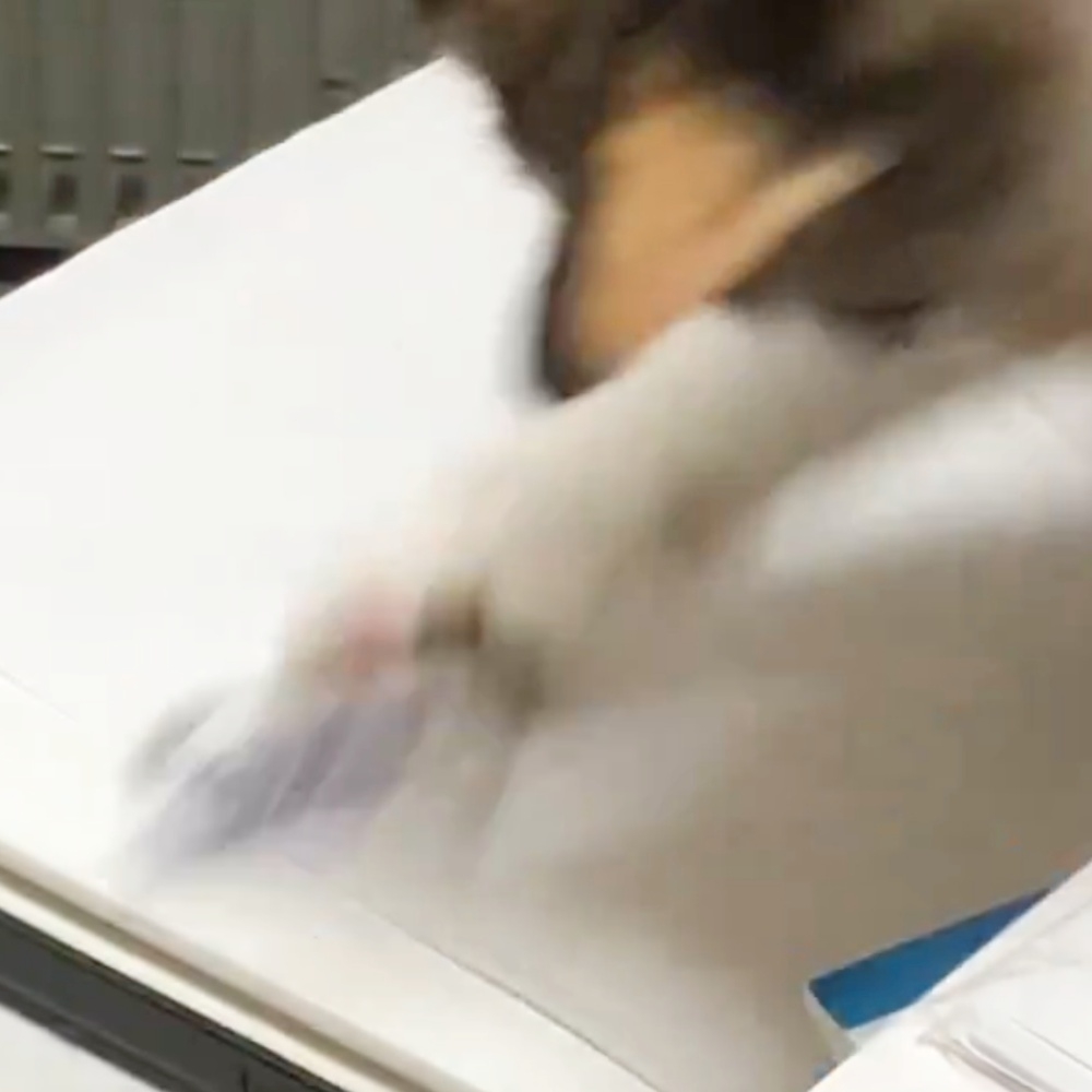 消しゴムをはじき飛ばすニャスカルちゃん