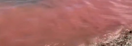 海岸線に広がる赤潮現象。海面が赤く染まり、海岸付近の岩や砂に影響を及ぼしています。