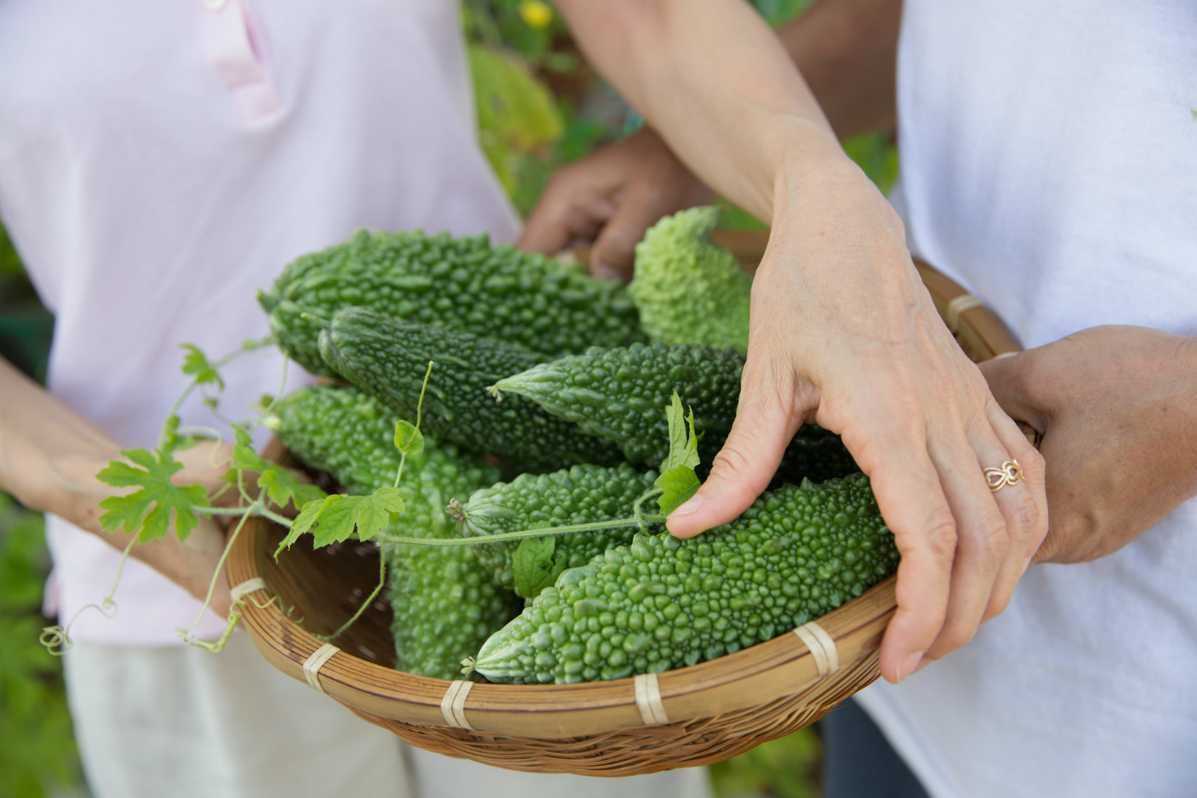 ゴーヤのイメージ写真（Getty Images）