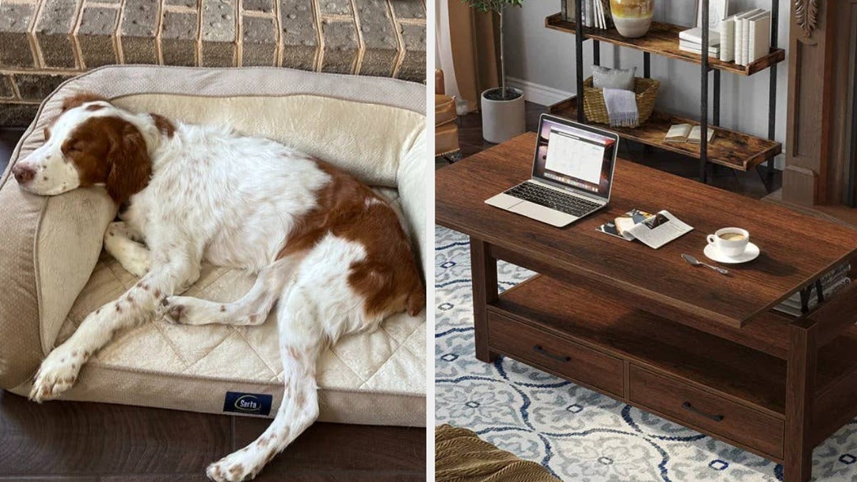 Dog sleeping on pet bed; a living room with wooden coffee table and laptop setup
