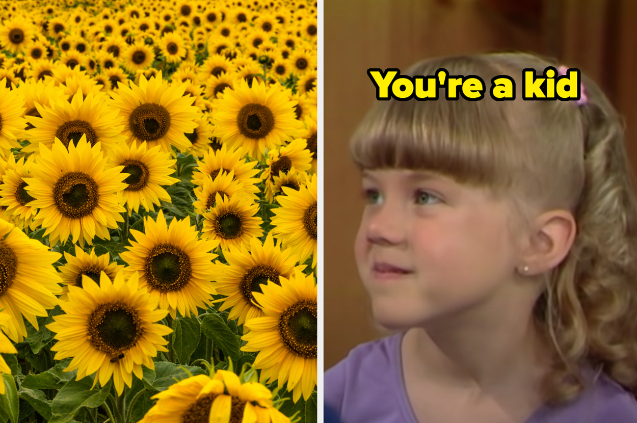 Field of sunflowers on the left and a young girl with a caption "You're a kid" on the right
