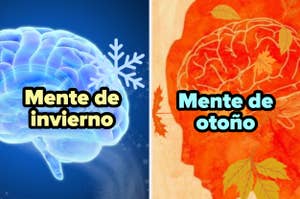 Imagen dividida en dos: izquierda ilustración cerebro con copos de nieve, texto "Mente de invierno". Derecha ilustración cerebro con hojas, "Mente de otoño"