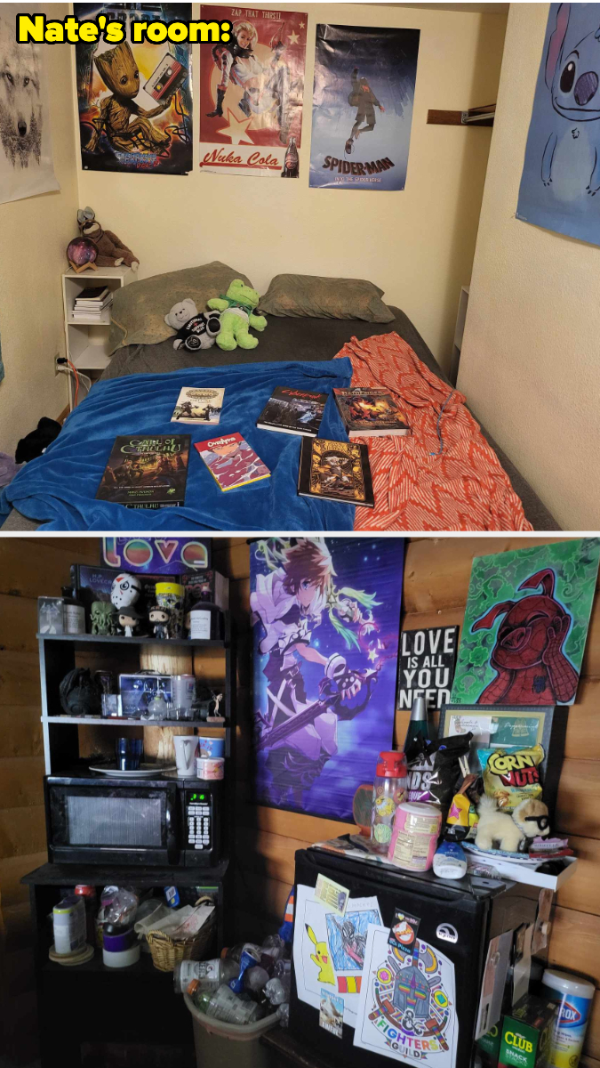 Bedroom with bed, shelves of collectibles, movie posters, and wall art