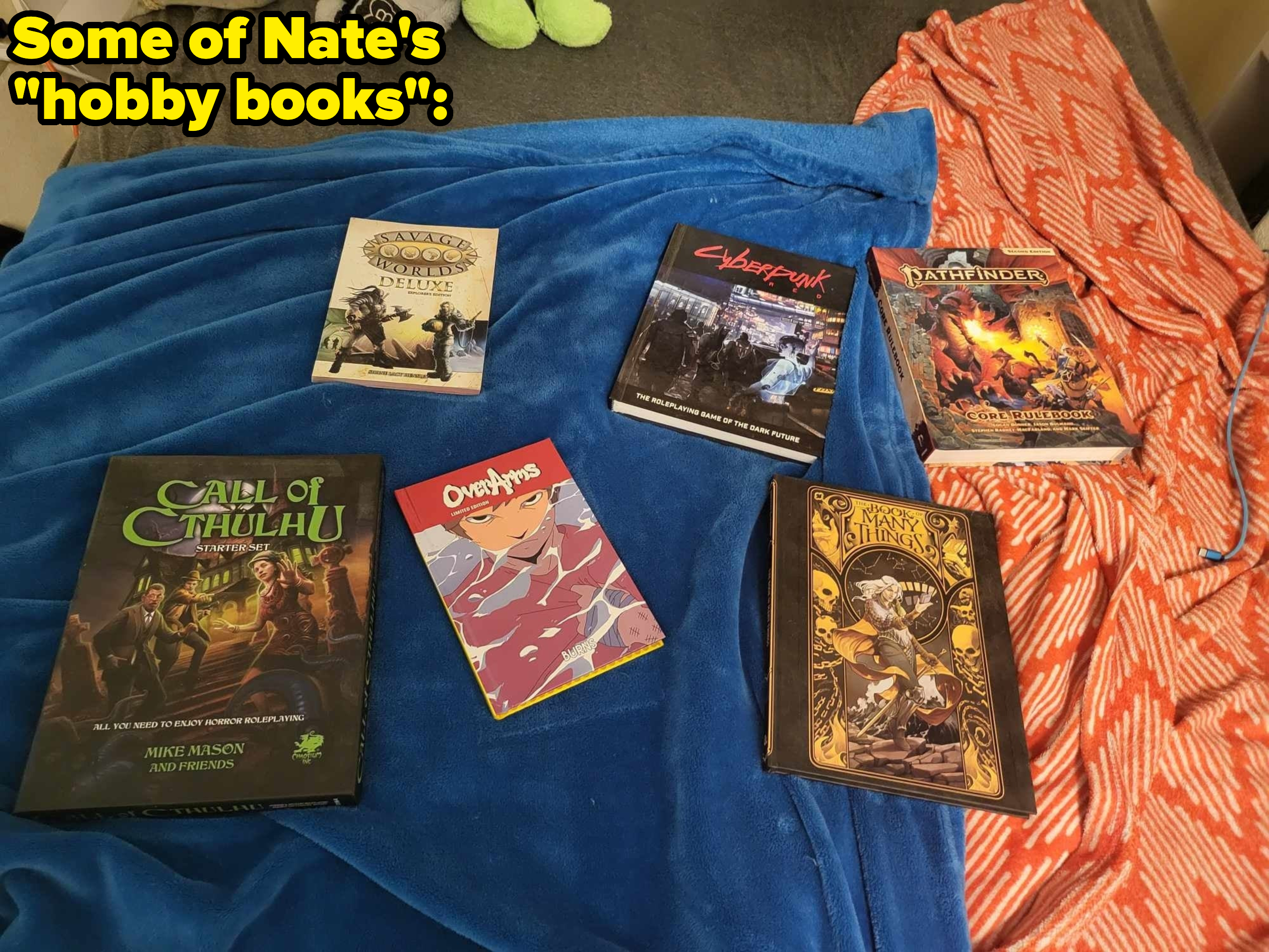 Assorted role-playing game books spread out on a blue blanket beside a red patterned shirt