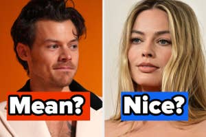 Two side-by-side portraits; text questions 'Mean?' near male celebrity, 'Nice?' near female celebrity