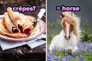 Left: Plate of crepes with filling. Right: Horse standing among purple flowers