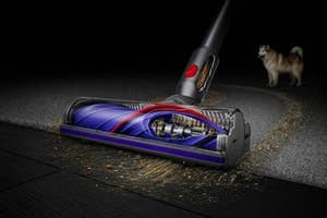 Vacuum cleaner in use on a carpet with scattered debris; a dog is in the background