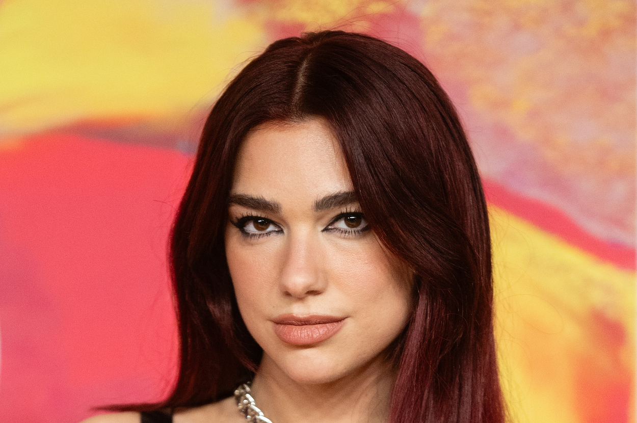 Dua Lipa Says The "Go Girl Give Us Nothing" Meme Was "Humiliating"