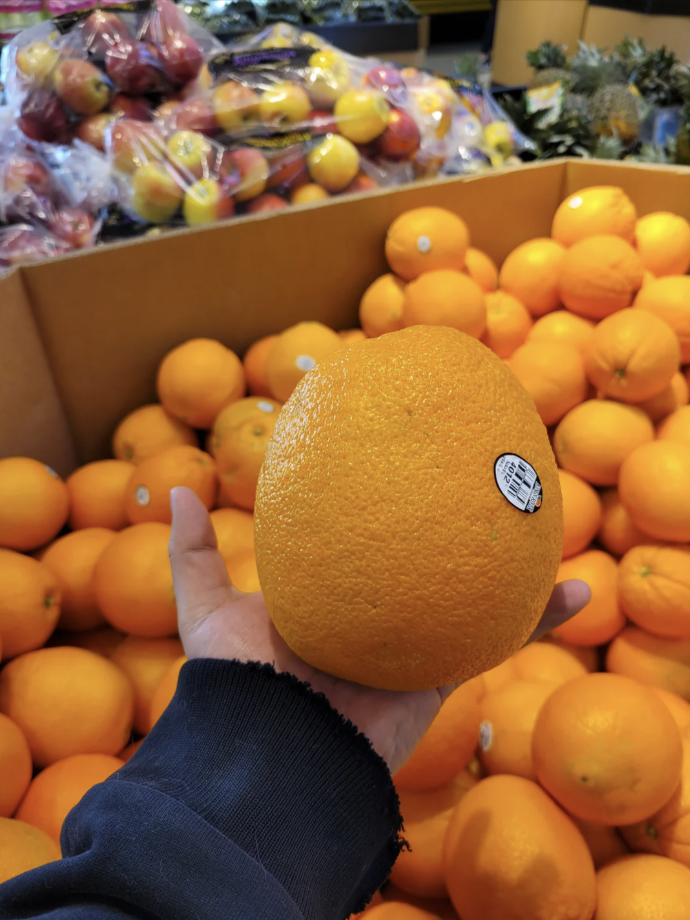 Hand holding an orange with a price sticker in a store with more oranges and fruits in the background
