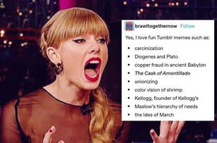 Taylor Swift appears surprised with text overlay listing quirky Tumblr memes