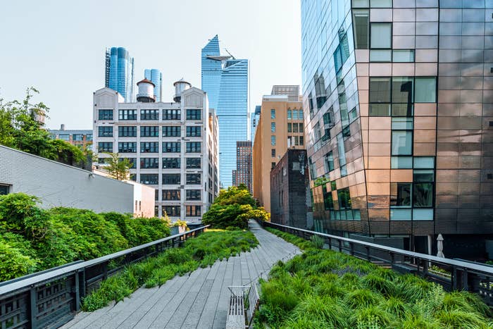 Elevated park walkway between urban buildings with lush greenery and skyline in the background