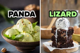 Left: Scoop of pistachio ice cream in a bowl. Right: Ice cream on a brownie, labeled 'LIZARD'