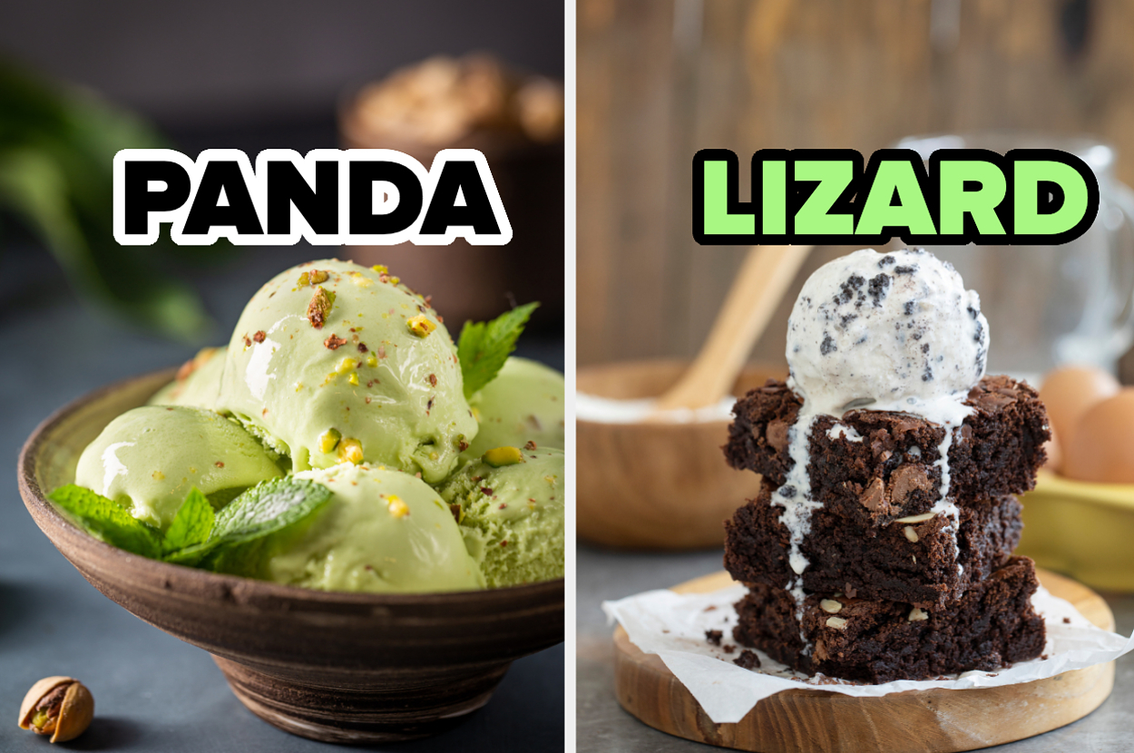 Left: Scoop of pistachio ice cream in a bowl. Right: Ice cream on a brownie, labeled 'LIZARD'