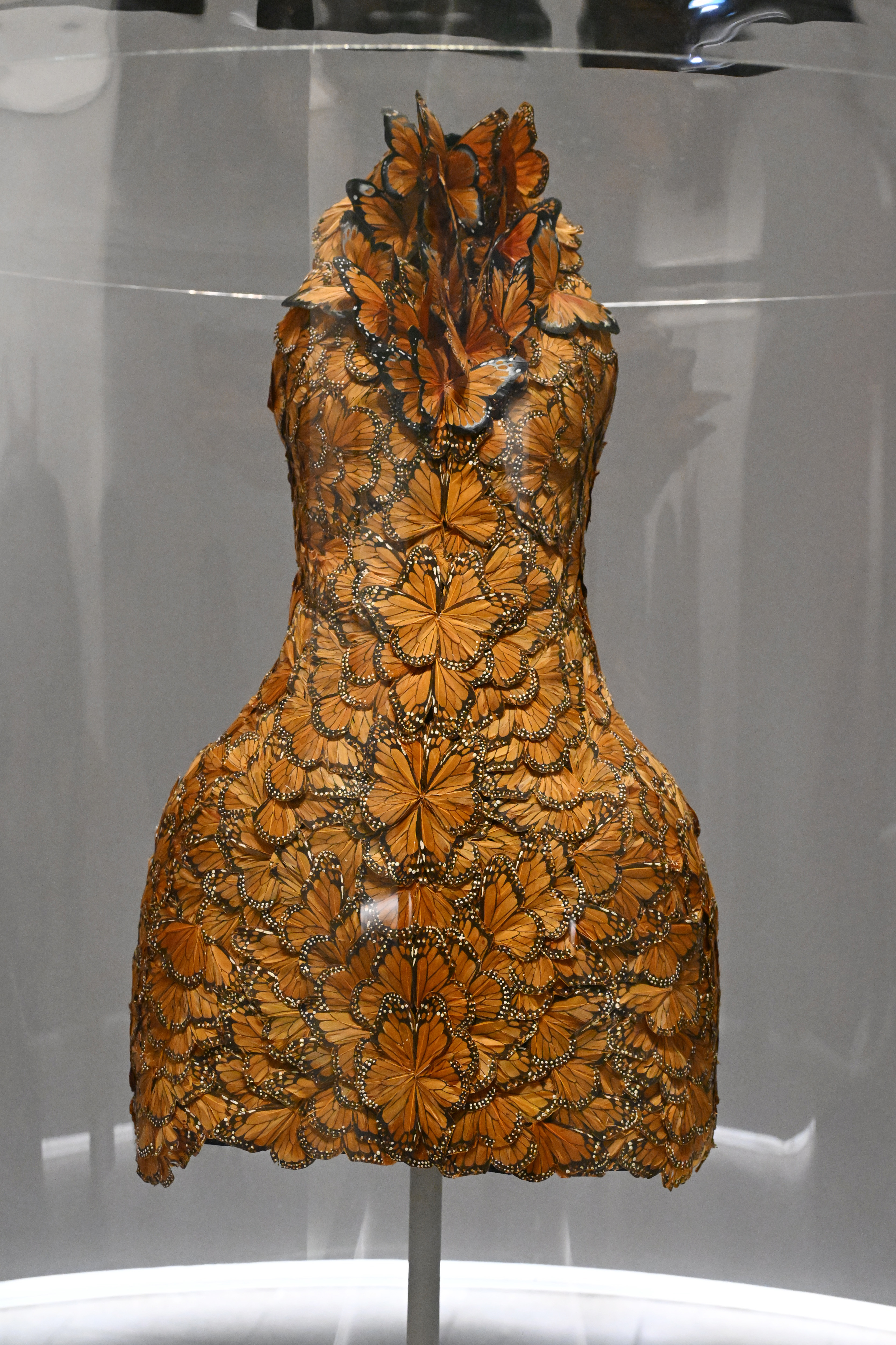 Elegant sleeveless dress on display with intricate butterfly pattern design