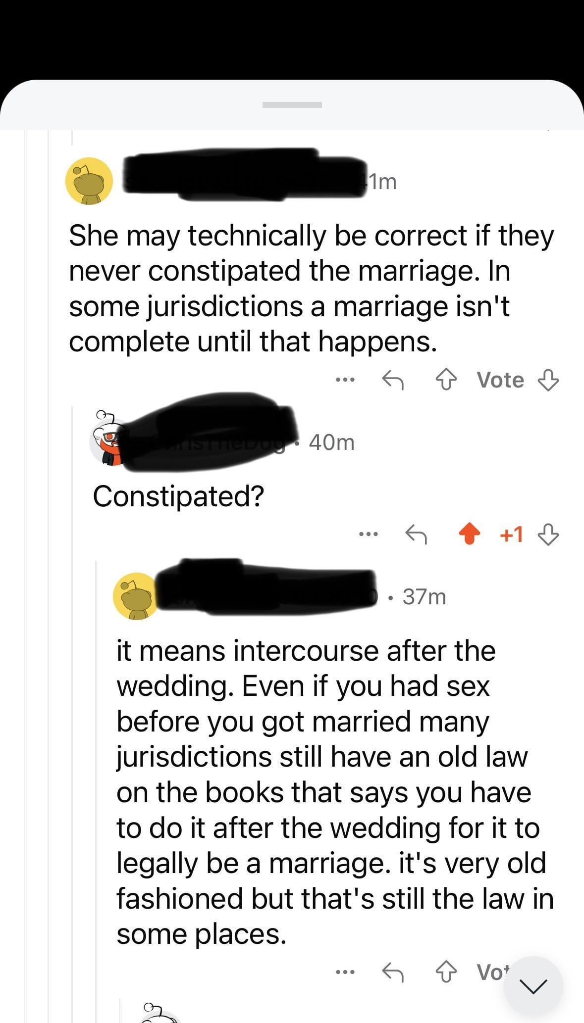 Screenshot of a mobile device showing a conversation thread from a social media platform with users discussing the interpretation of a marriage law