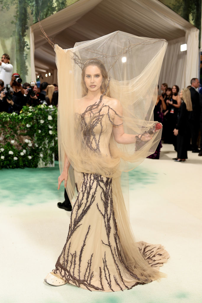 Lana in sheer, branch-patterned gown with draped veil on a carpet, posing for photographers