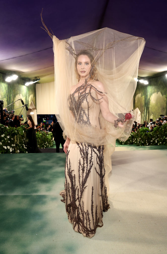 Woman in an elaborate sheer gown with branch-like embroidery and a tulle headpiece