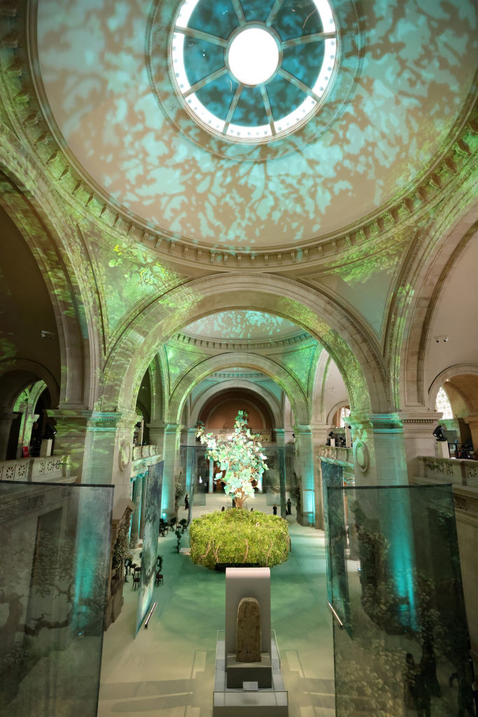 Glass-ceilinged hall with projected patterns, central tree exhibit, and visitors on balconies