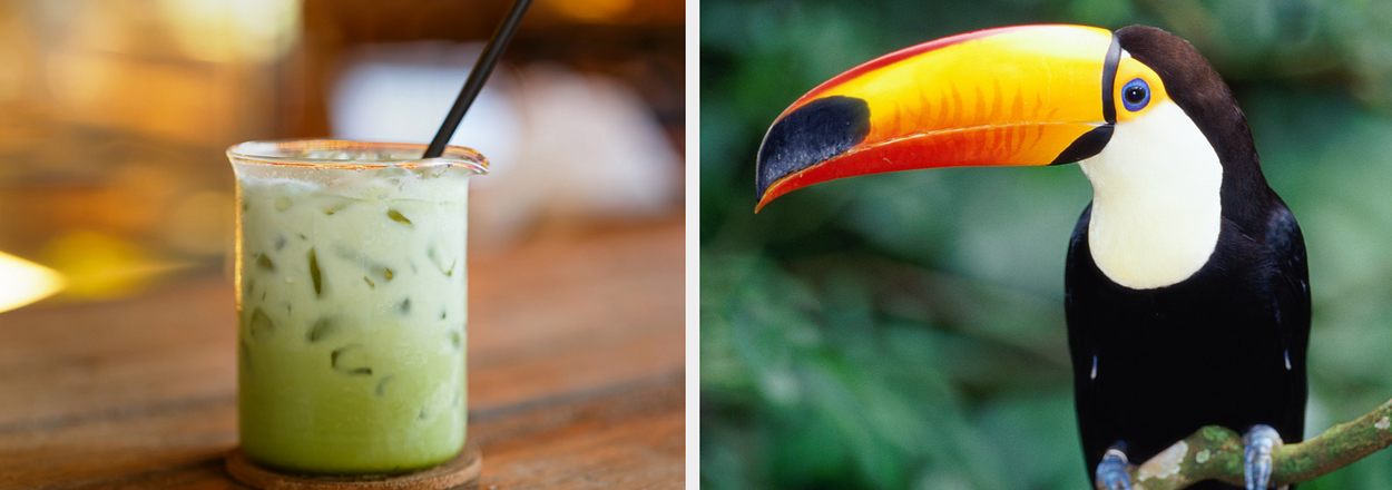 Left: Iced matcha latte on a wooden table. Right: Toucan perched on a branch in a natural setting