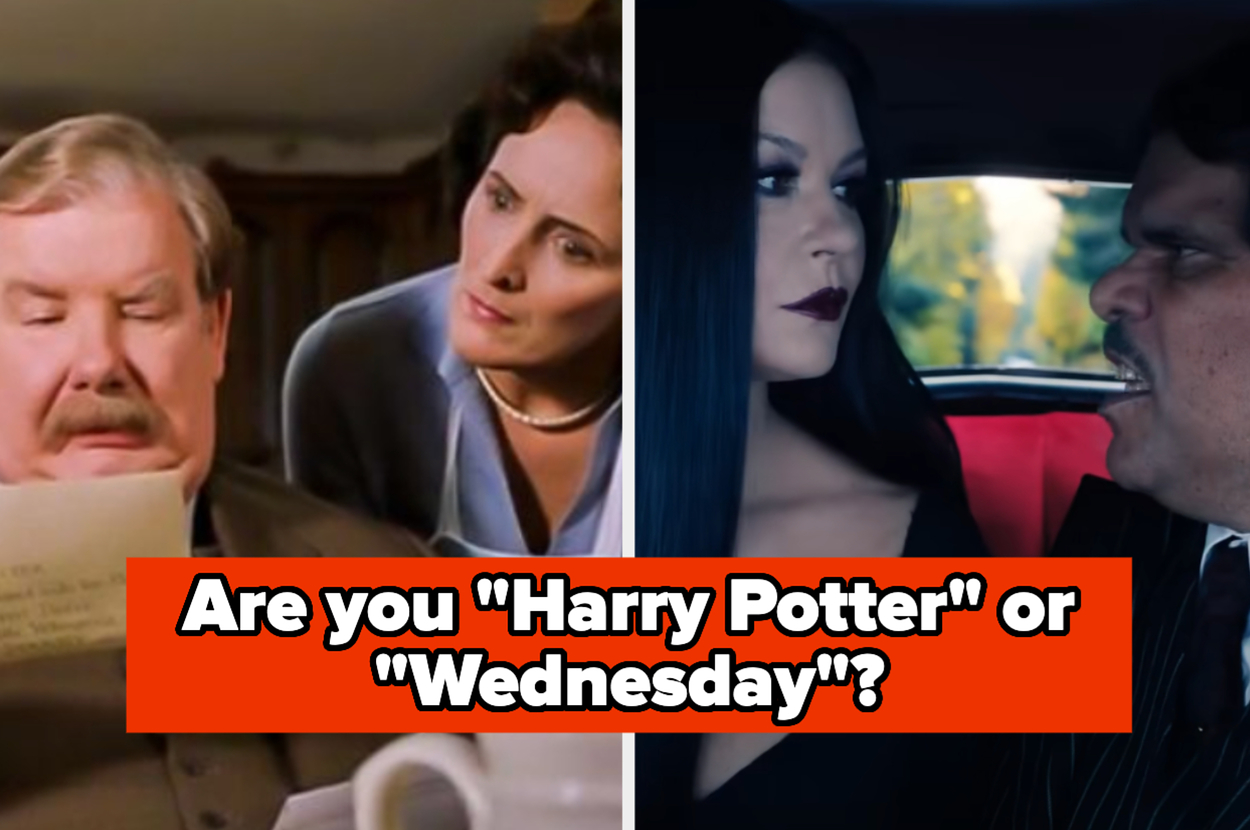 Split image with Uncle Vernon from "Harry Potter" on the left and The Addams Family from "Wednesday" on the right, with text "Are you 'Harry Potter' or 'Wednesday'?"