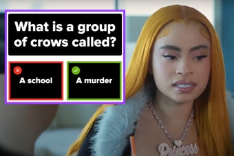 Ice Spice looking down, slightly confused, next to a screenshot of the question what is a group of crows called with a school incorrectly selected as the answer