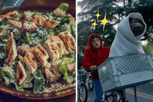 Split image: Left - Grilled chicken salad on a plate. Right - E.T. in a blanket on a bike basket, child in red hoodie riding the bike