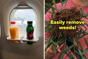 two bottles in an airplane window tray; a weed pulled from the ground