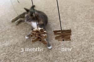 Cat playing with two different stages of a worn cat toy, illustrating product durability for shopping purposes