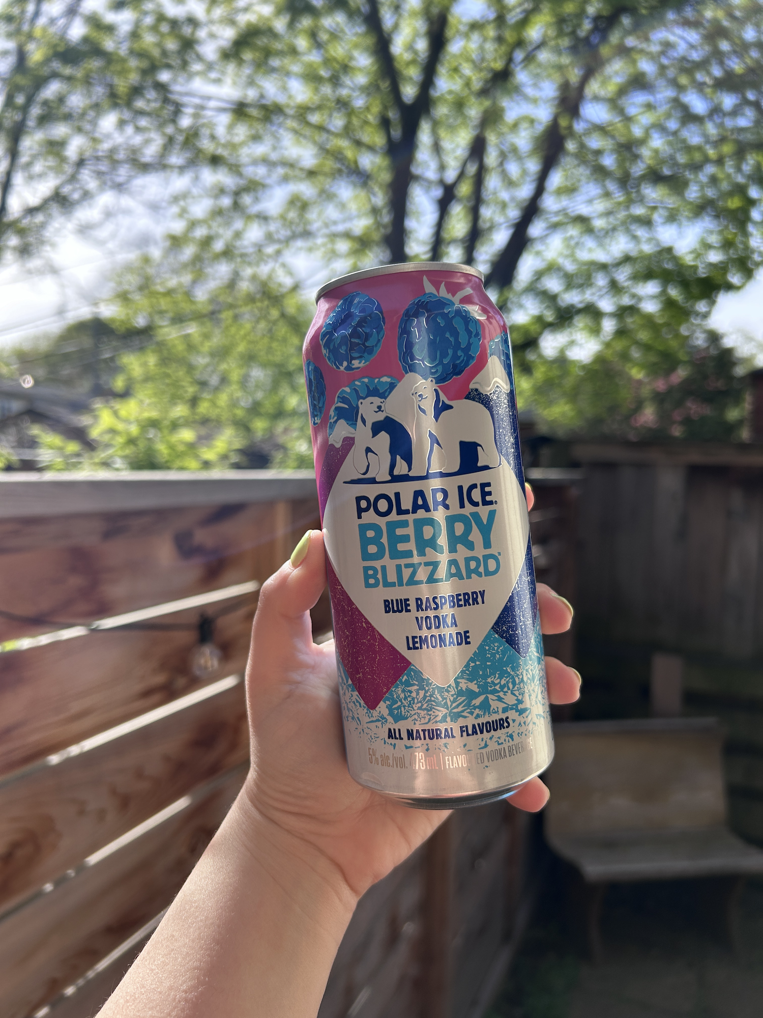 Hand holding a can of Polar Ice Berry Blizzard alcoholic beverage outdoors