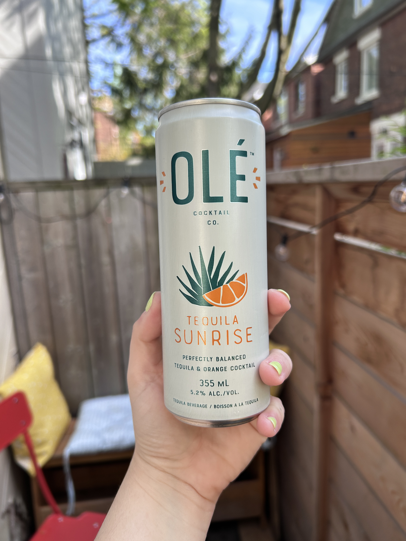 Hand holding a can of Olé Cocktail Co. Tequila Sunrise against an outdoor backdrop