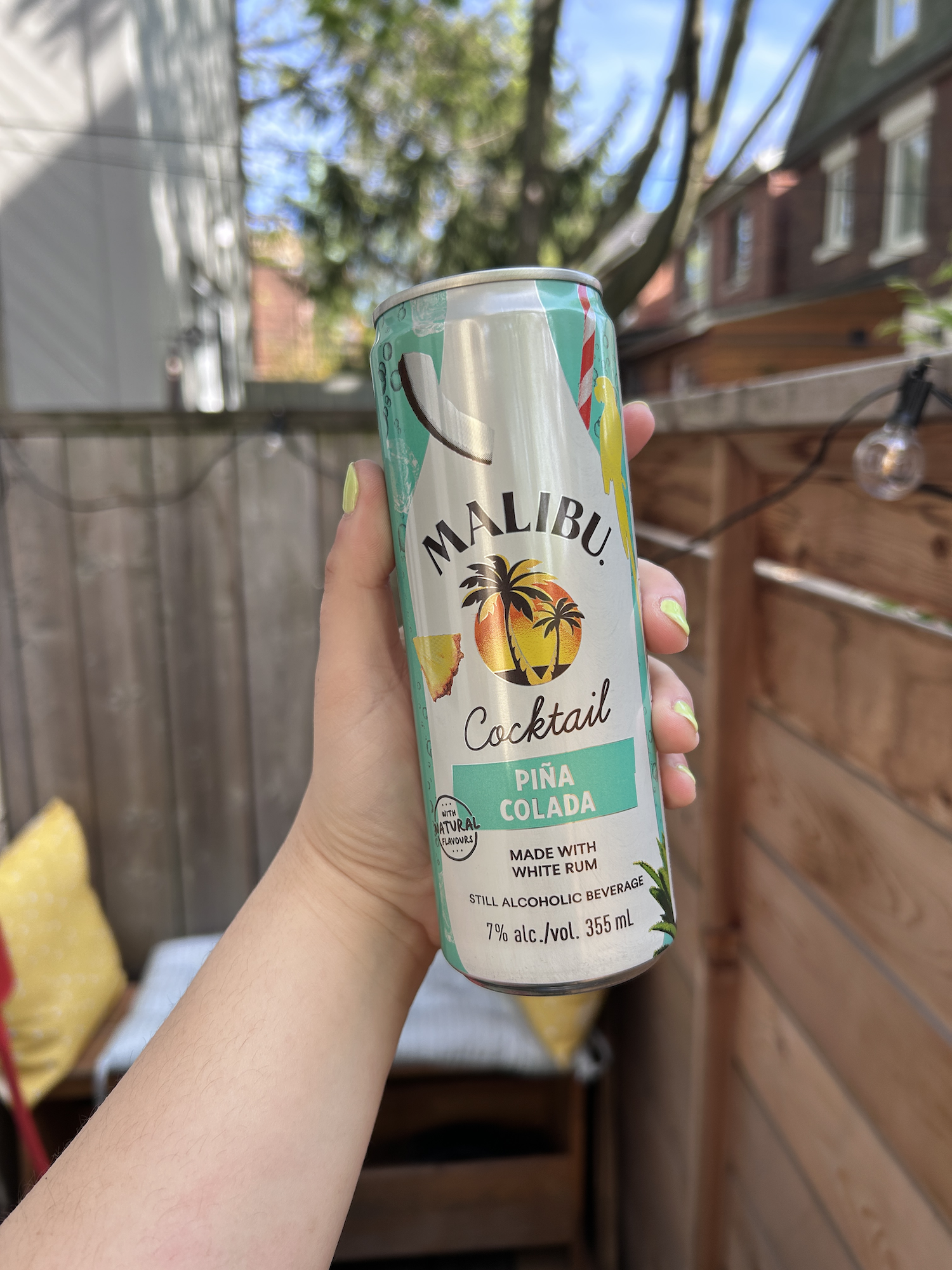 Hand holding a Malibu Piña Colada canned drink outdoors