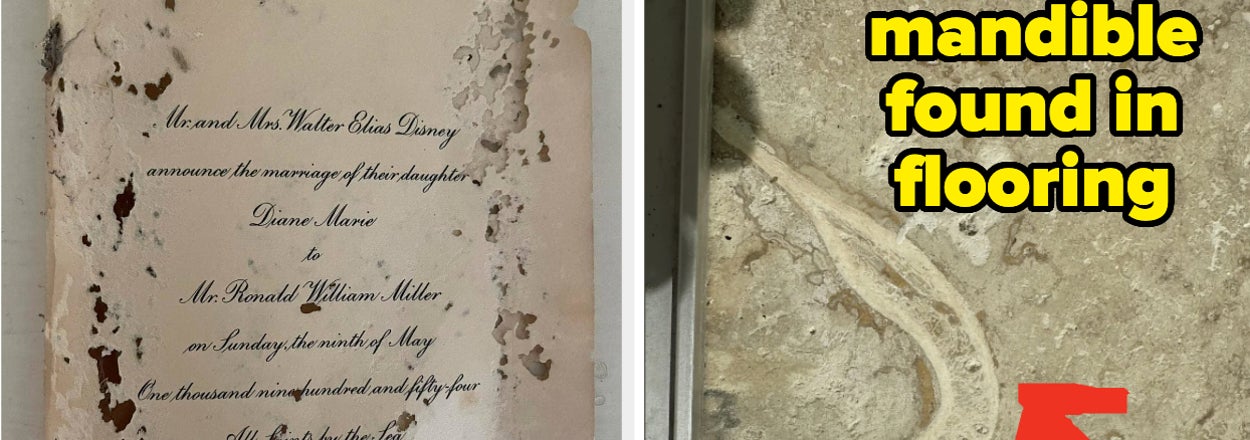 Old damaged invitation next to a case displaying a human mandible embedded in flooring, with red arrow pointing to it