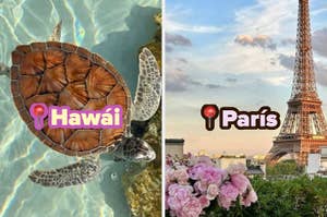 Tortuga nadando en Hawái y vista de la Torre Eiffel desde un jardín en París, con íconos de ubicación