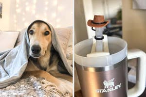 Dog under a blanket next to a mug with a cowboy hat lid on a stirring device