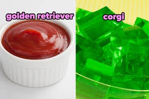 Side-by-side comparison of ketchup and green gelatin with labels "golden retriever" and "corgi" above each respectively