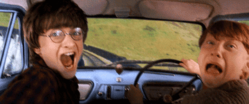 Harry Potter y Ron Weasley emocionados en un coche volador