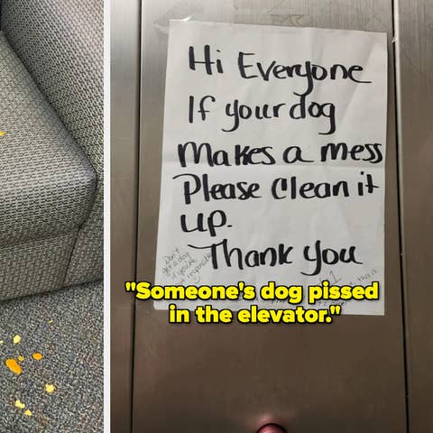 Spilled popcorn on an office chair and floor, next to a sign reminding to clean after pets