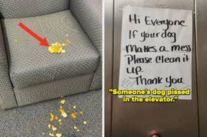 Spilled popcorn on an office chair and floor, next to a sign reminding to clean after pets