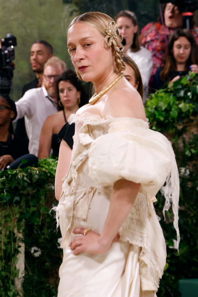 Chloë Sevigny